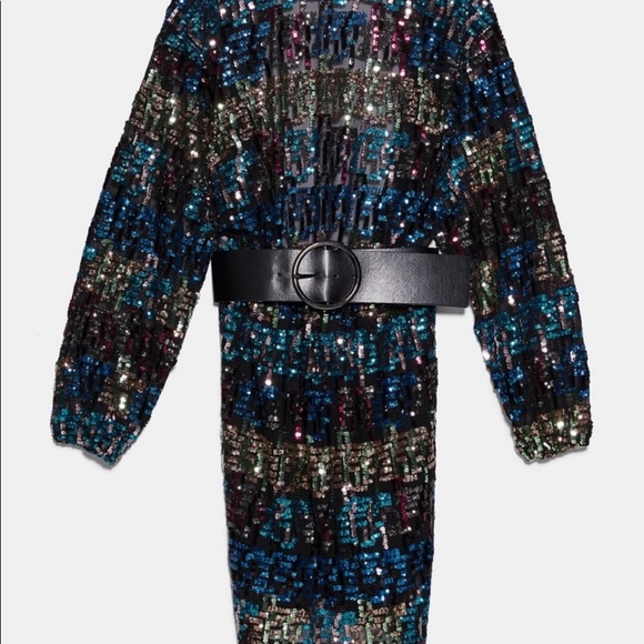 Zara Sequin Dress w/out belt - Picture 6 of 6